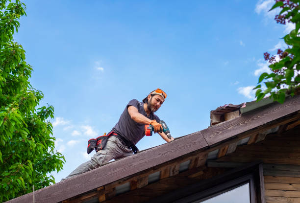 Fast & Reliable Emergency Roof Repairs in Round Lake Beach, IL