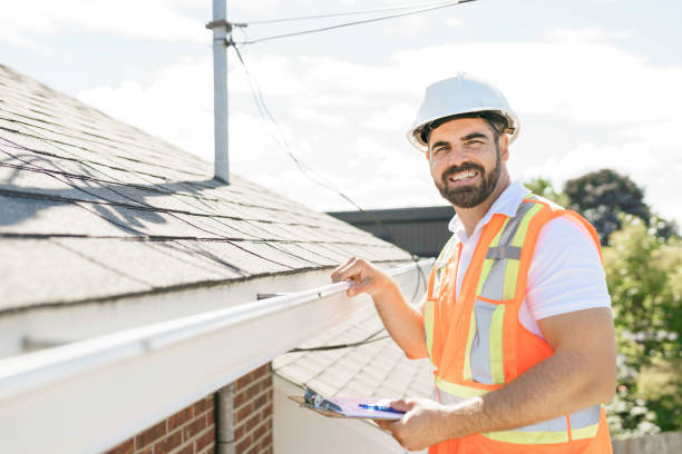 Best Roof Moss and Algae Removal  in Round Lake Beach, IL
