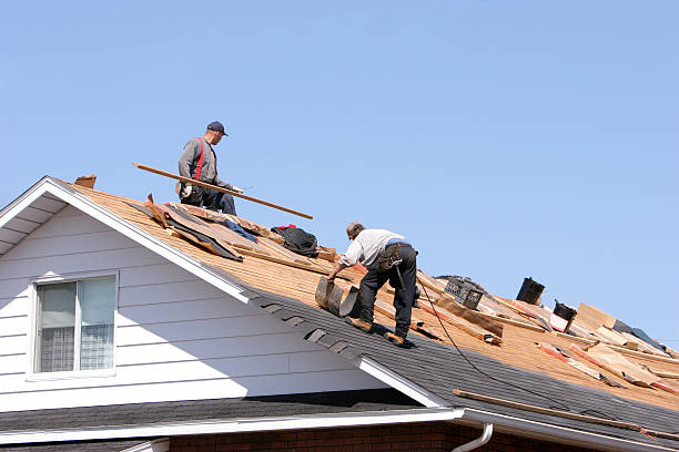 Best Roof Insulation Installation  in Round Lake Beach, IL